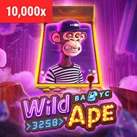 Bảo mật mã hóa tại p3bet com